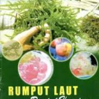 Image of Rumput Laut Rumput Harapan