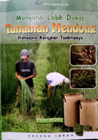 Image of Mengenal Lebih Dekat Tanaman Mendong 'Primadona Kerajinan Tasikmalaya'